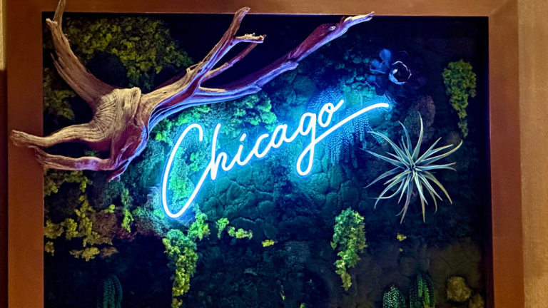 Ultimate Chicago Travel Guide: Top Places to Stay, Eat, and Explore