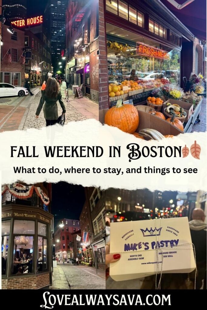 Fall Weekend in Boston Pin