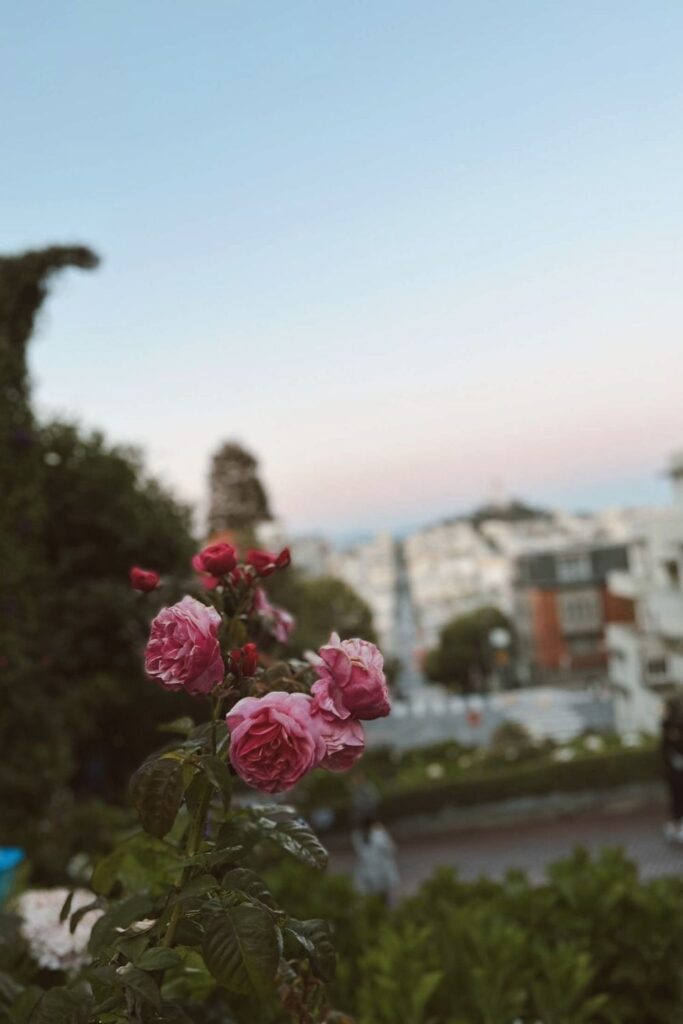 Lombard Street