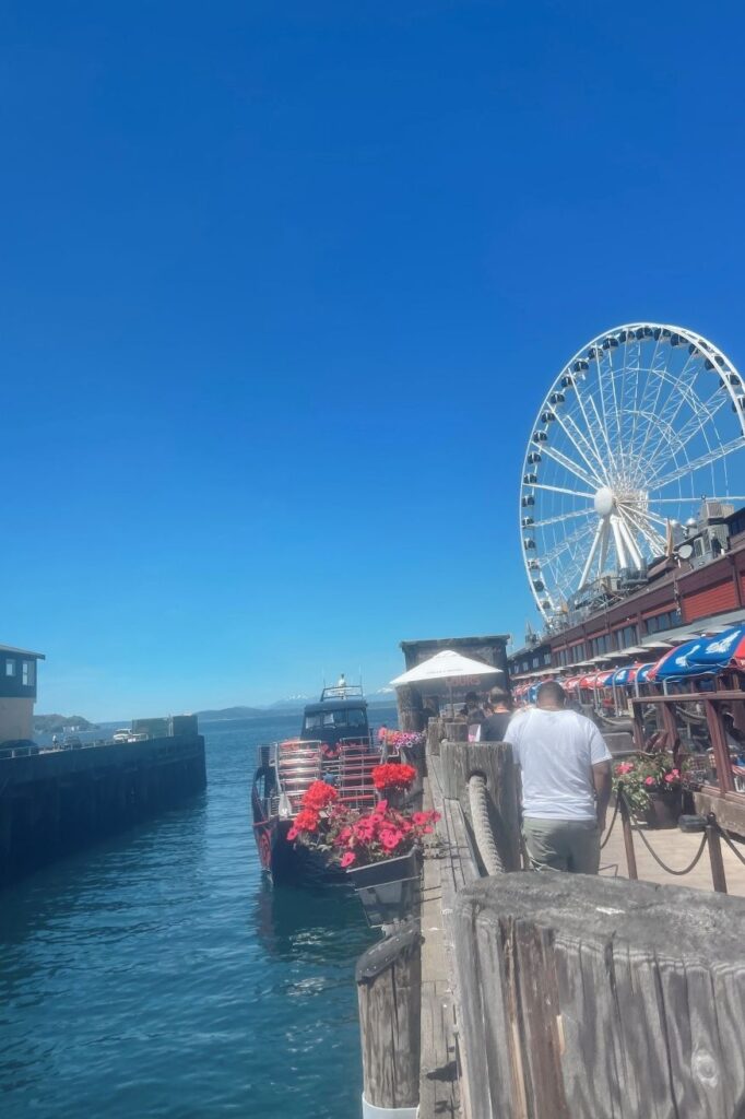Seattle Ferris Wheel