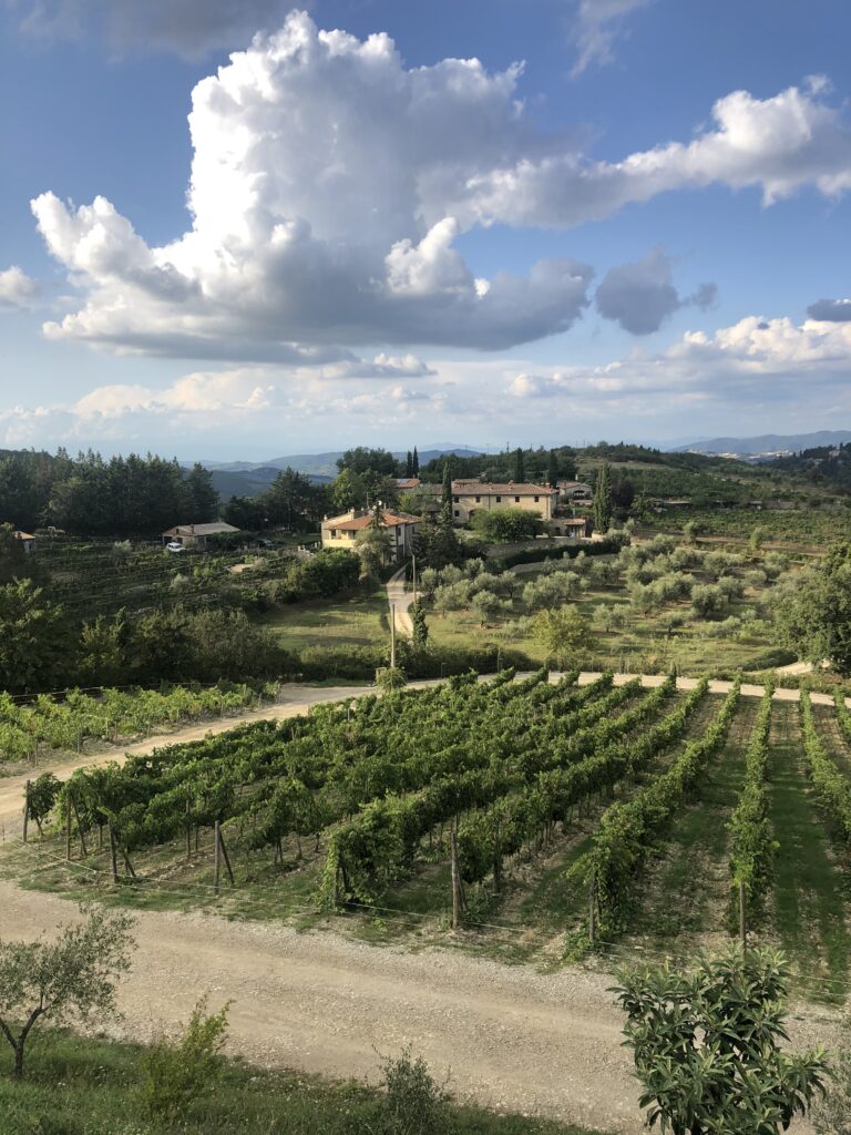 Winery in Tuscany during Study Abroad