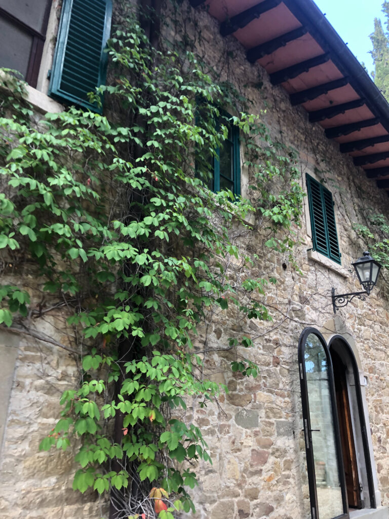 vines draped along winery in Tuscany Italy