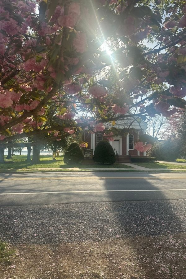 Things to do in Oxford Maryland