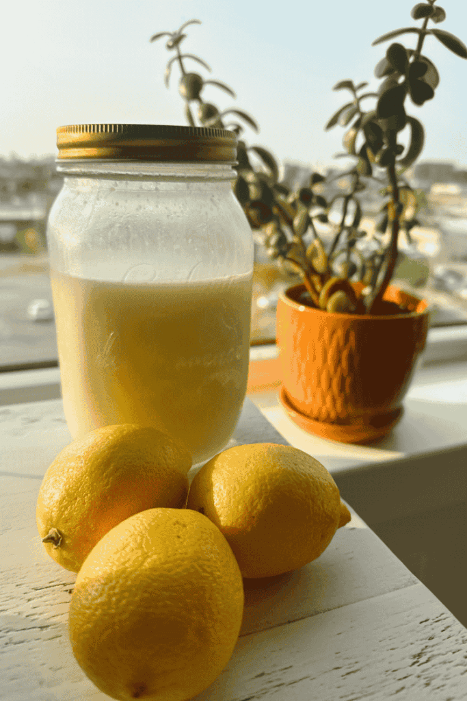 Lemon olive oil elixir sitting on window sill with lemons in front of a jade plant