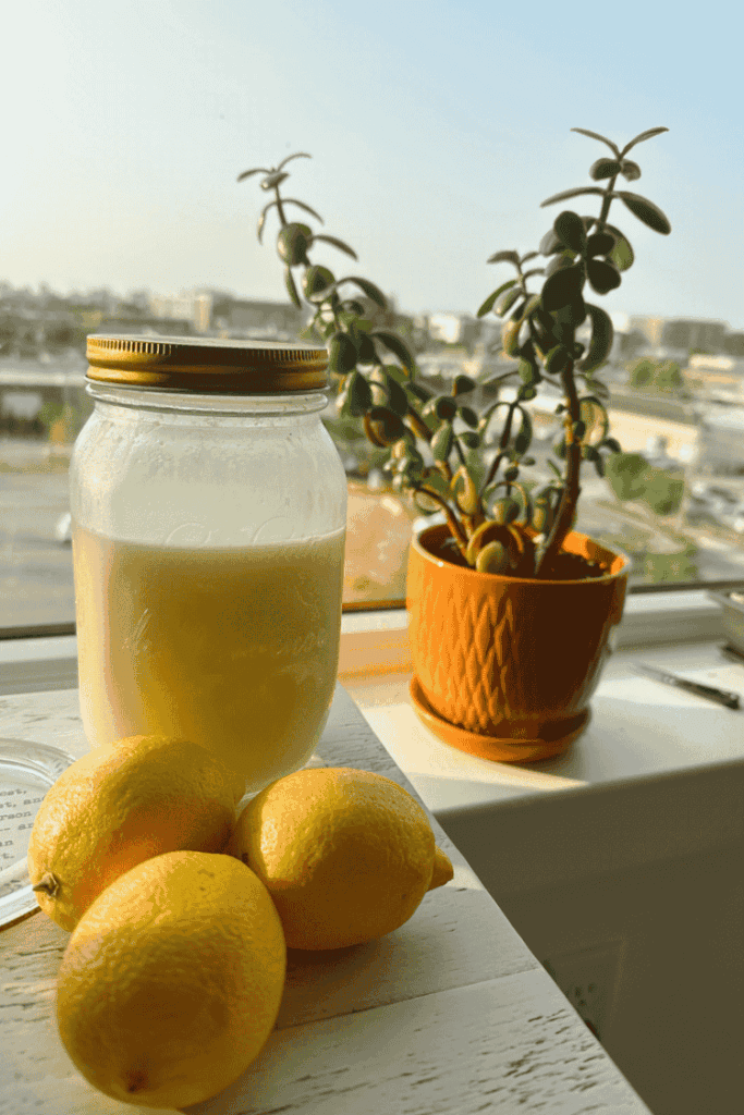 Lemon olive oil elixir sitting on window sill with lemons in front of a jade plant