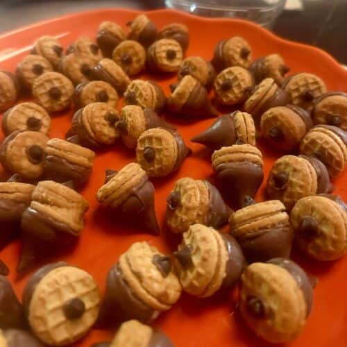 Chocolate-dipped cookies with chocolate chips, ideal for sweet cravings and party favors.