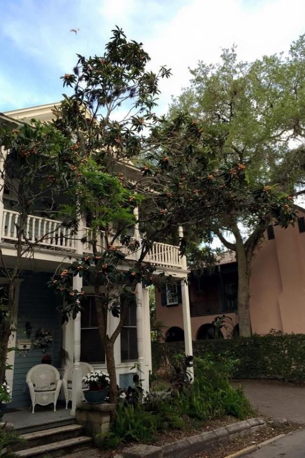 St. Augustine Florida US Ghost Tour