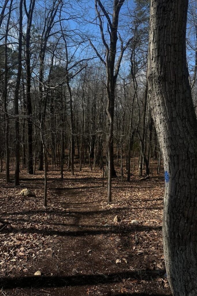 Iris Inn Amenities Walking Trail