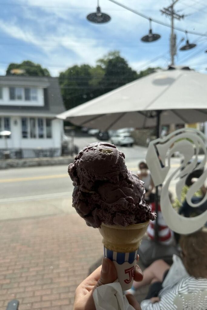 Maine Blueberry icecream