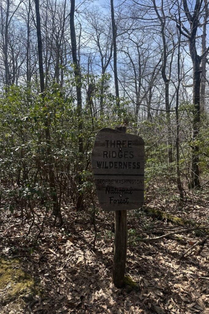 Hiking in Wintergreen VA