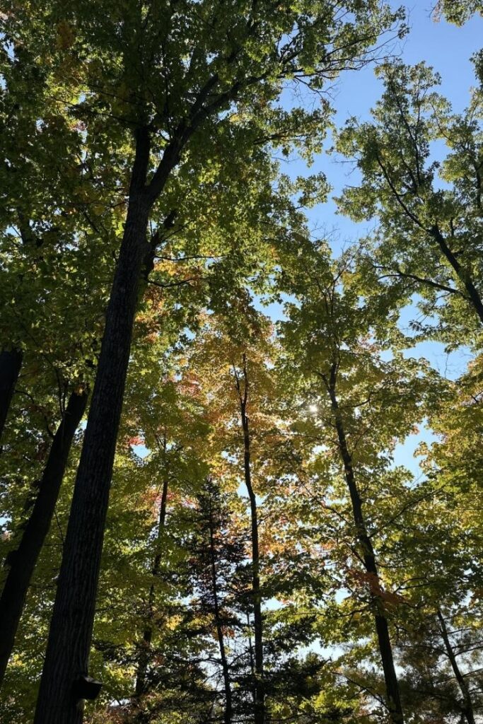 Nordik Spa- Nature Chelsea