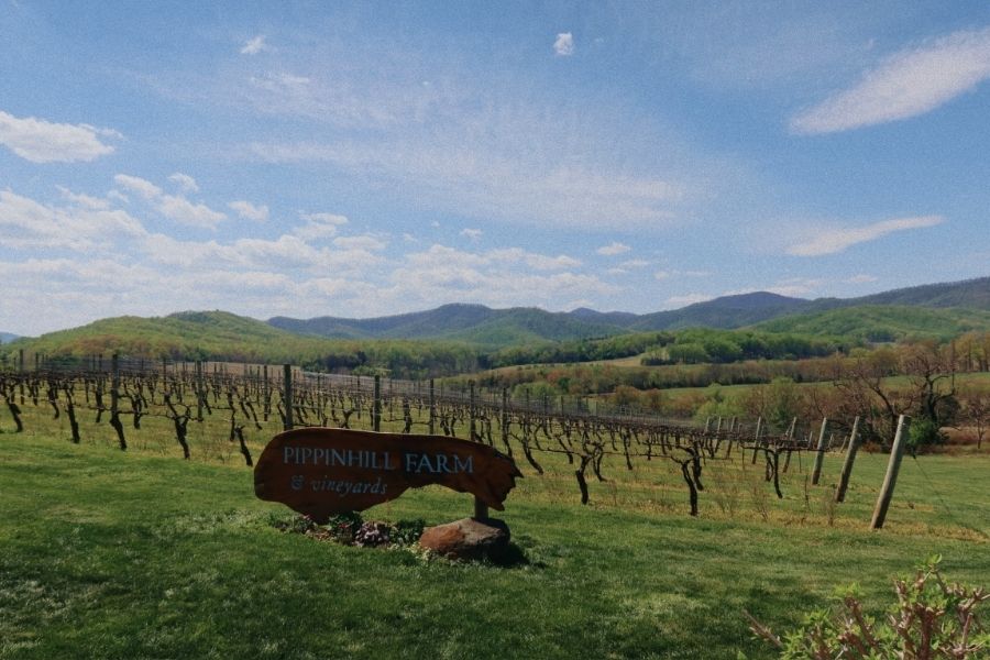 Charlottesville Girls Wine Weekend