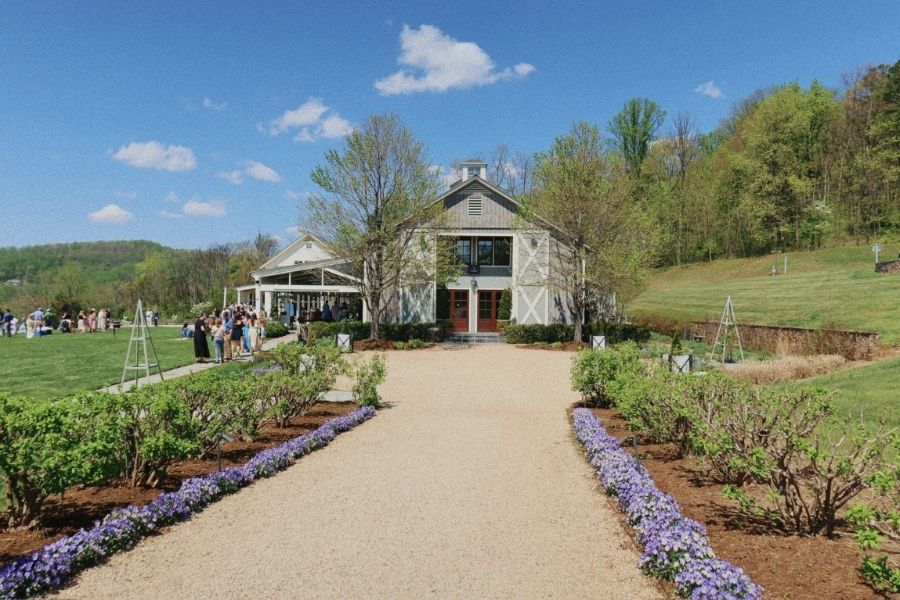 Pippin Hill Charlottesville Virginia