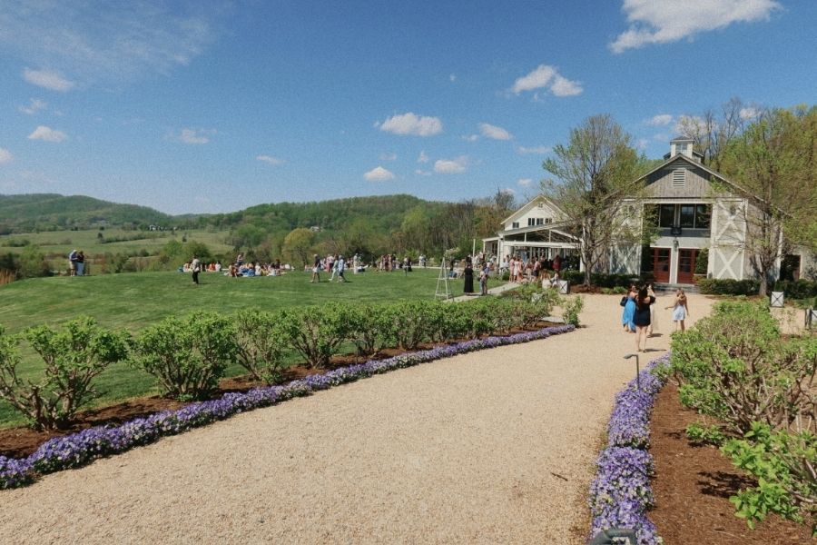 Pippin Hill wedding