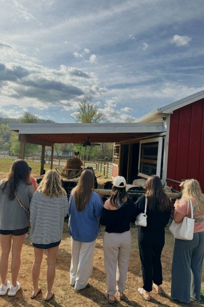 Charlottesville Girls Wine Weekend - Belties