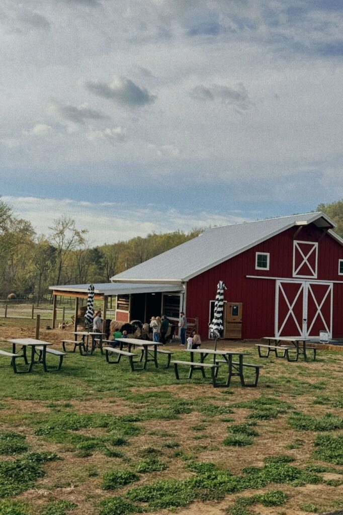 Charlottesville Girls Wine Weekend - Belties