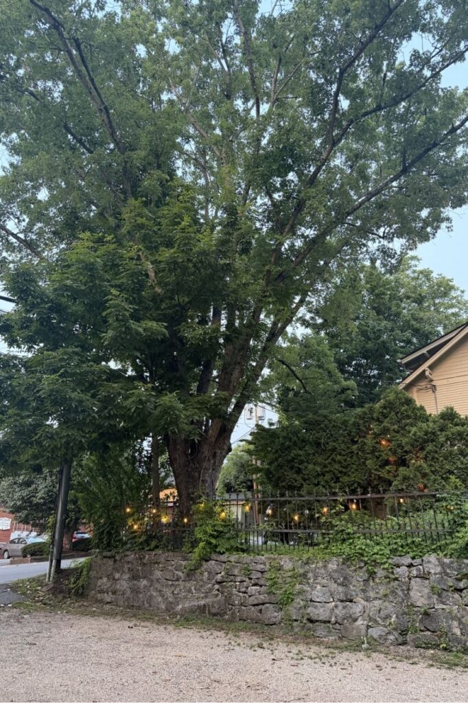A Stay at the Thomas Rose Inn: A Charming Boutique Hotel in Historic Lewisburg, West Virginia