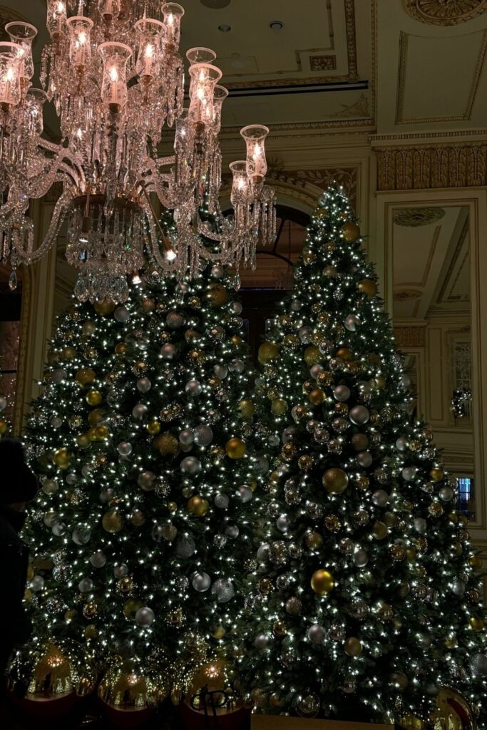 The Plaza Hotel NYC