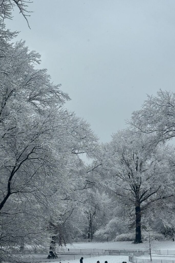 White Christmas Central Park