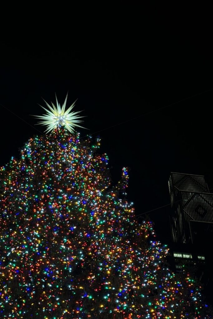 Christmas in NYC