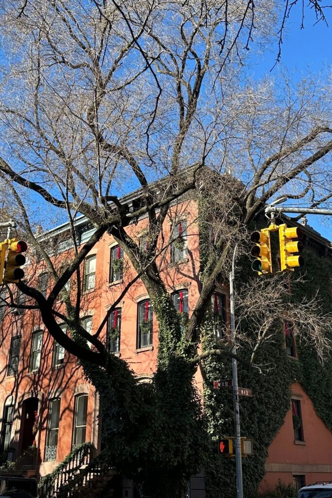 West Village NYC