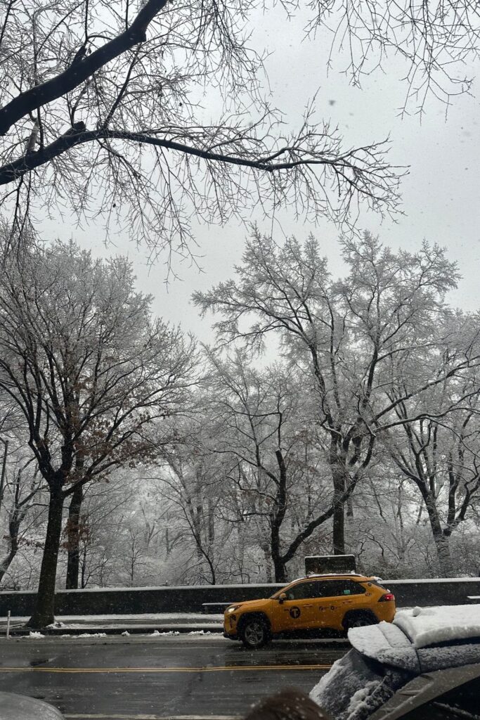 White Christmas Central Park