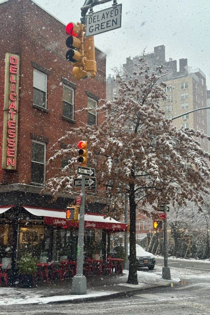 Christmas in NYC